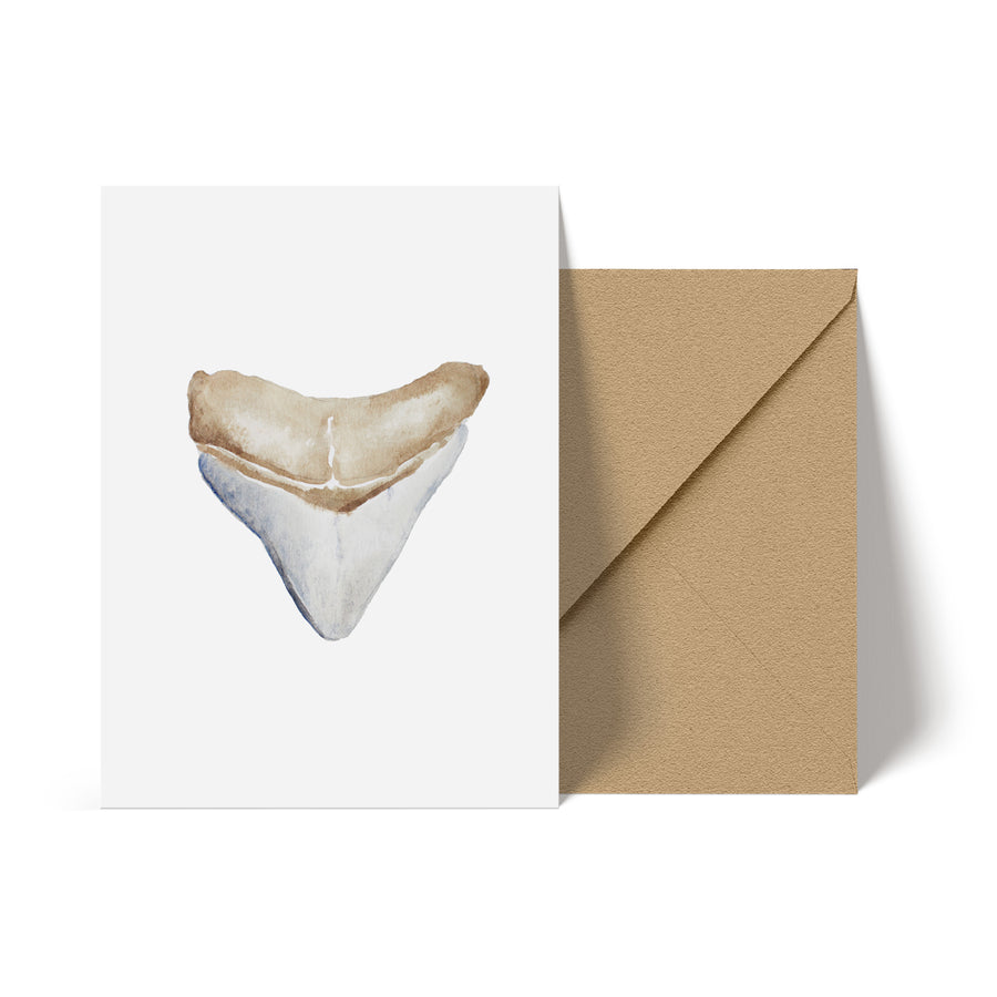 Shark Tooth Blue Note Card