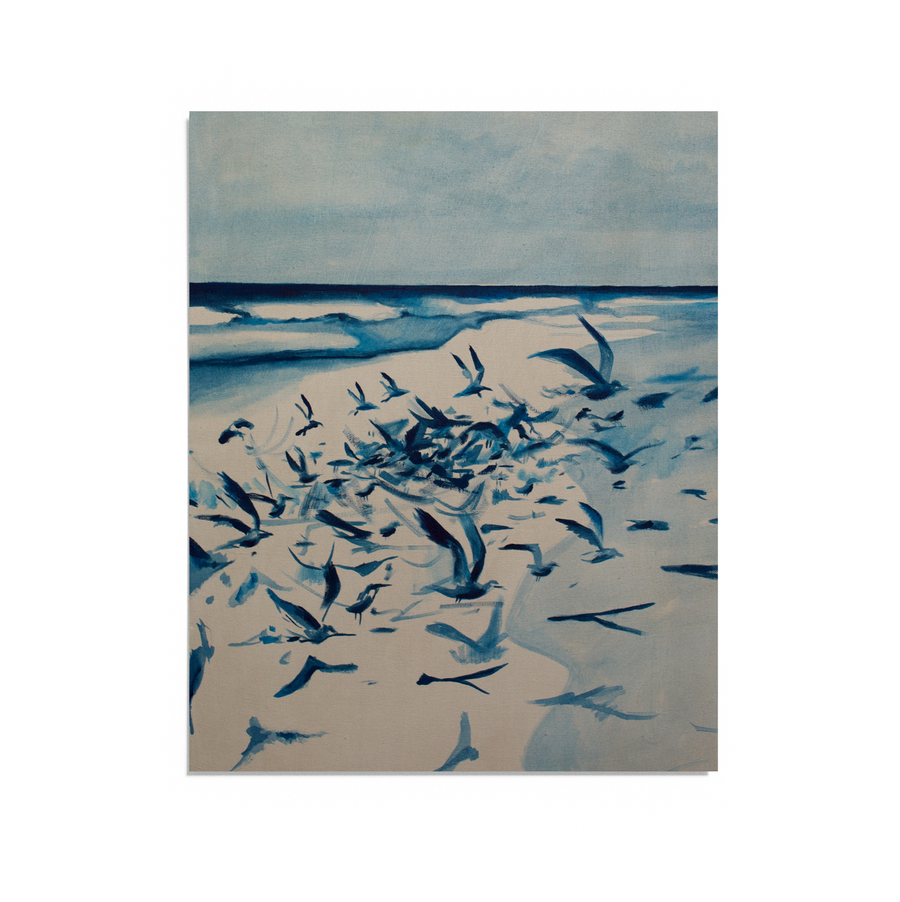 Florida Blues Seagulls