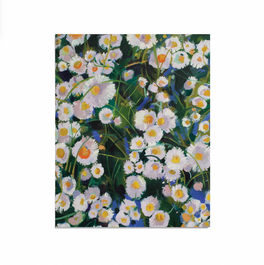 Friendly Daisies