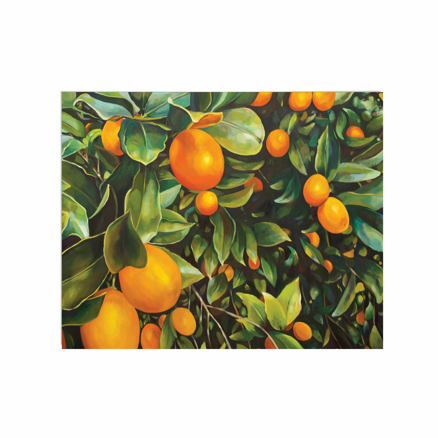 Kumquats in December