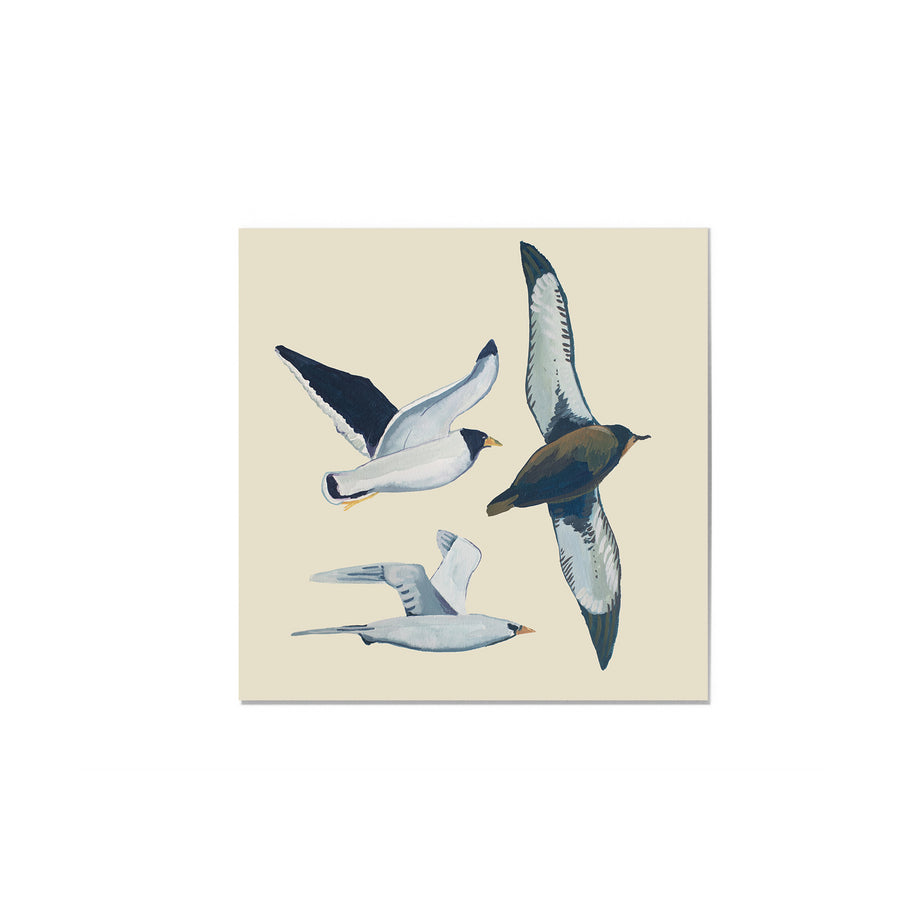 Seagulls Art Print