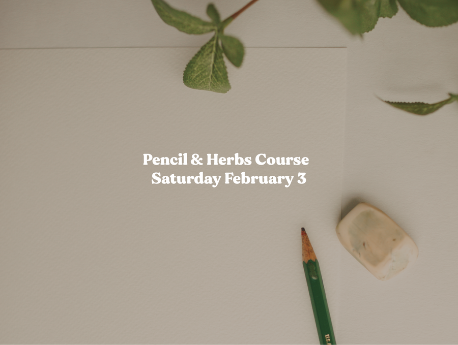 Pencil + Herb Drawing Workshop | Saturday, February 3