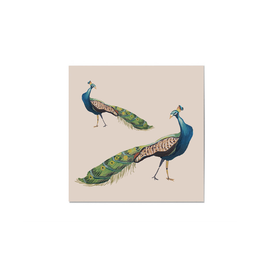 Peacocks Art Print