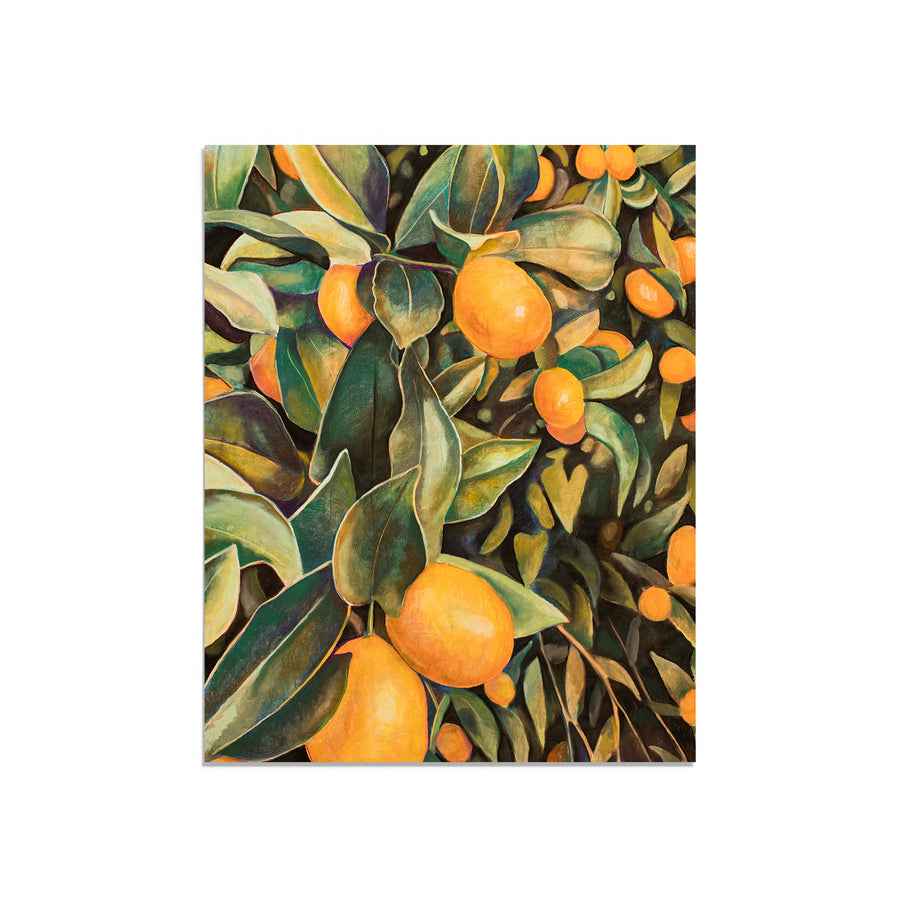 Citrus Season