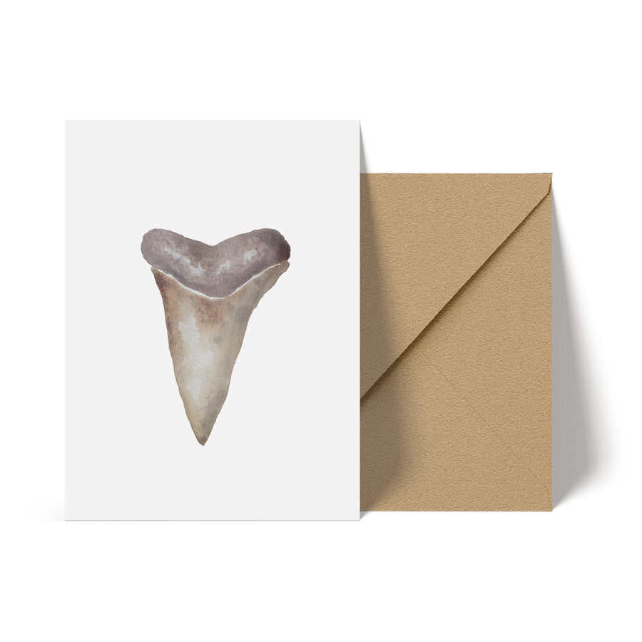 Shark Tooth Brown Note Card
