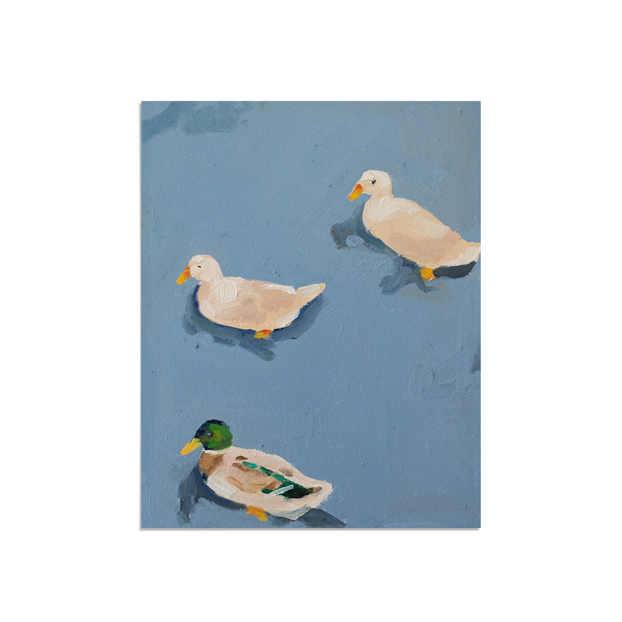 Ducks no. 03