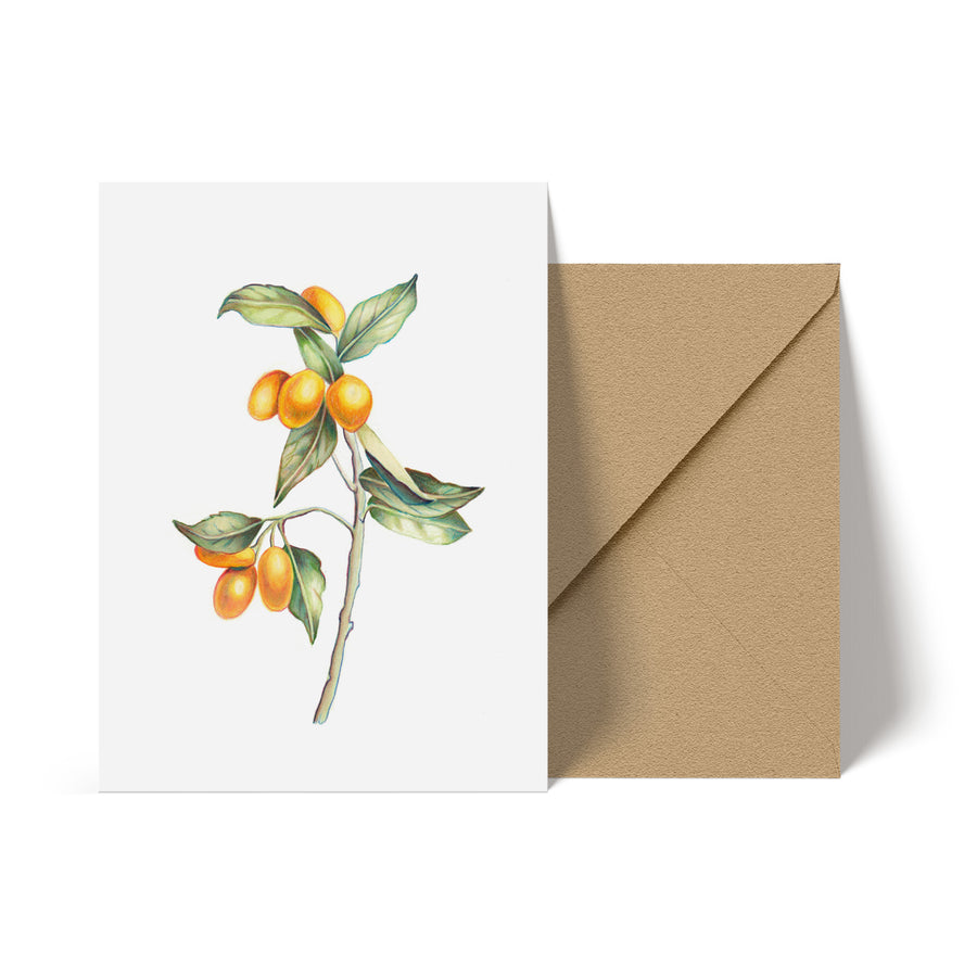 Kumquat Note Card