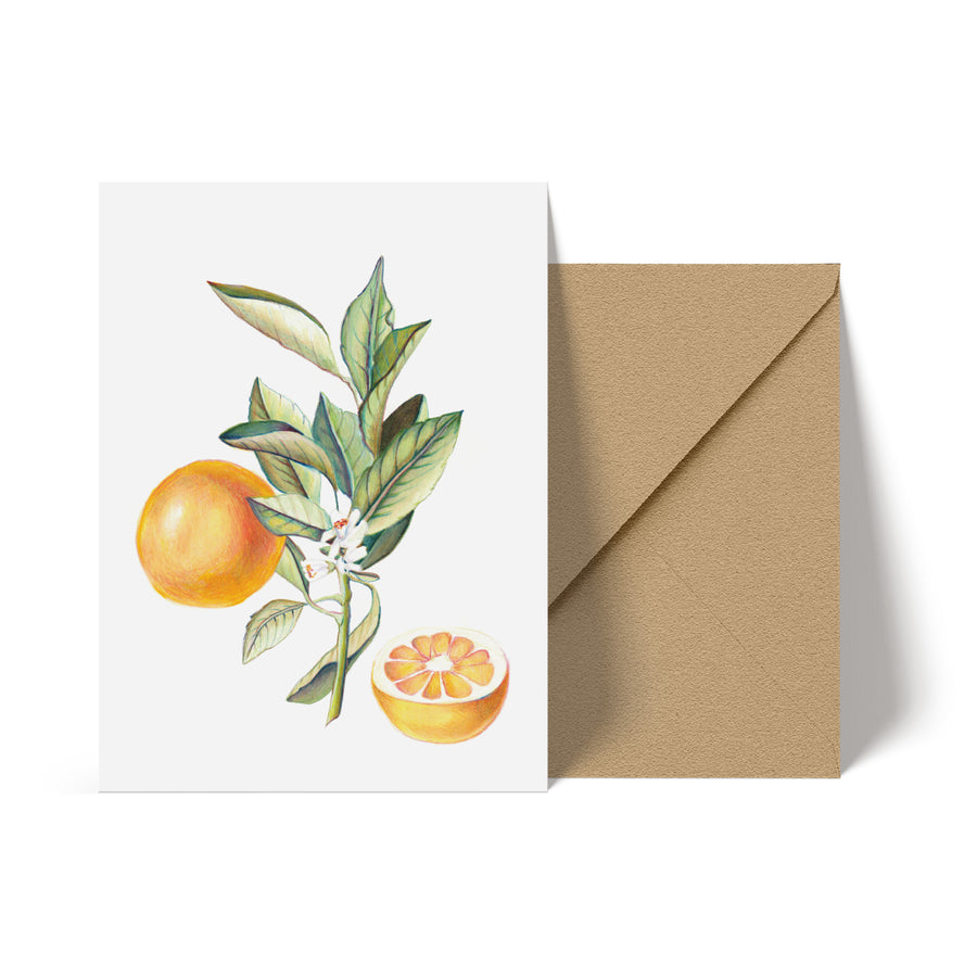 Pencil & Citrus Note Card
