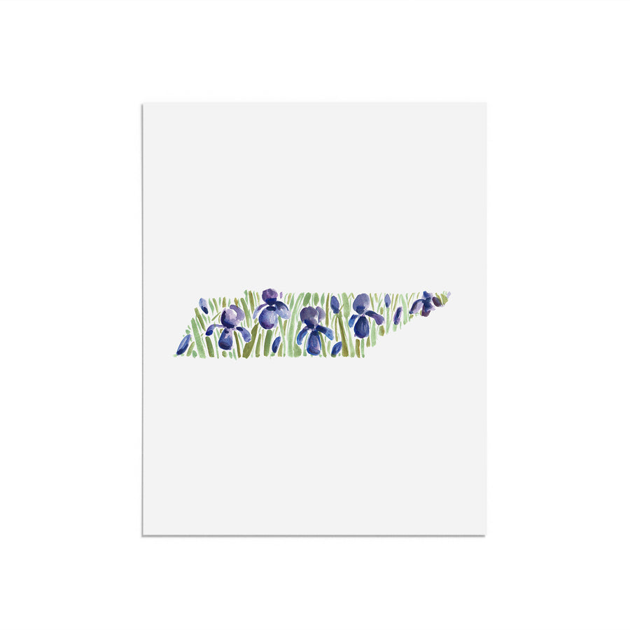 Tennessee State Flower Print